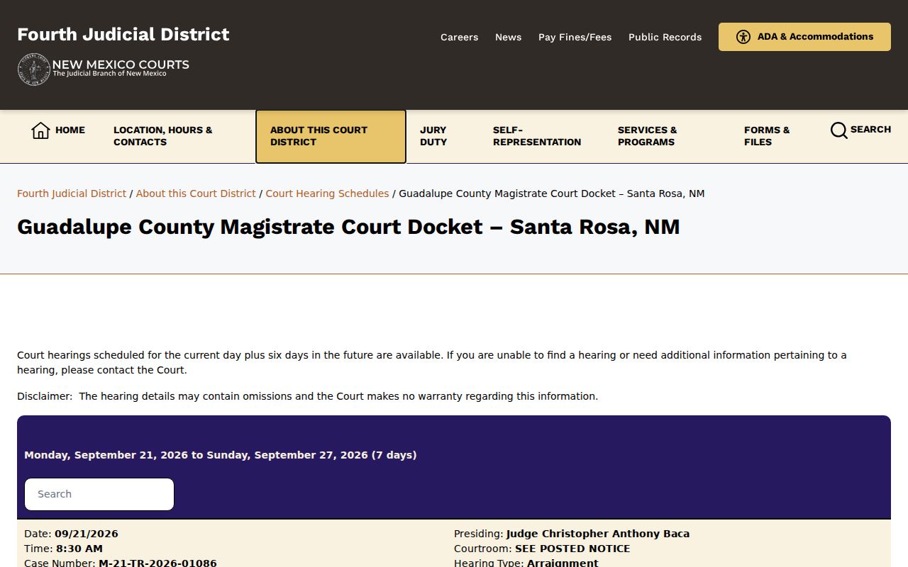 Guadalupe County Magistrate Court official docket page